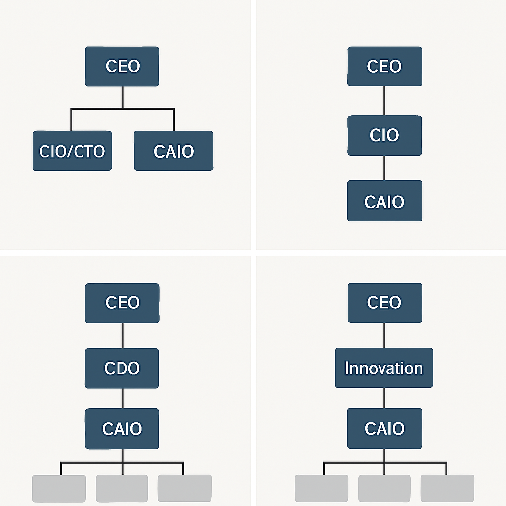 Common organizational positioning options for the Chief AI Officer role